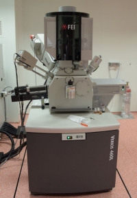 High resolution Scanning Electron Microscope FEI Verios 460L