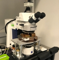 Magneto-optical Kerr microscope